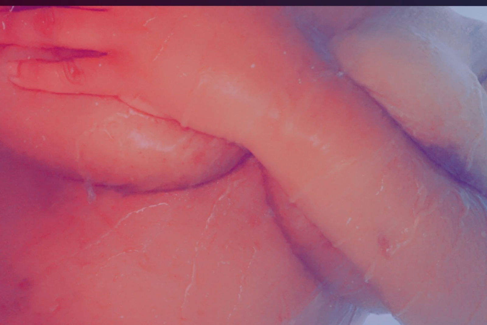 DrippinCarmel profile banner
