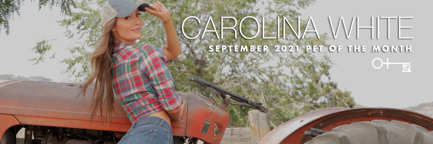 Carolina White profile banner