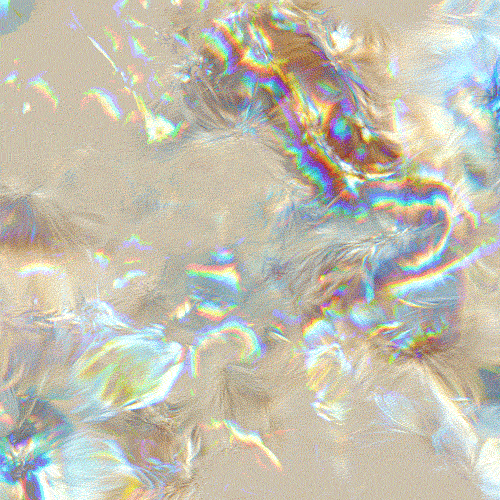 BigBootyDreamz profile banner