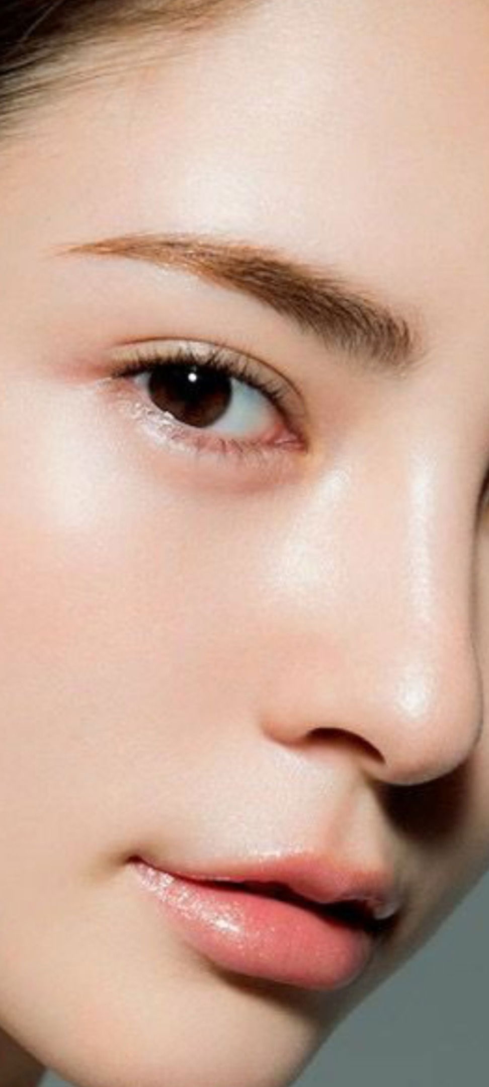 Kataleya ๐ฎ๐น profile banner