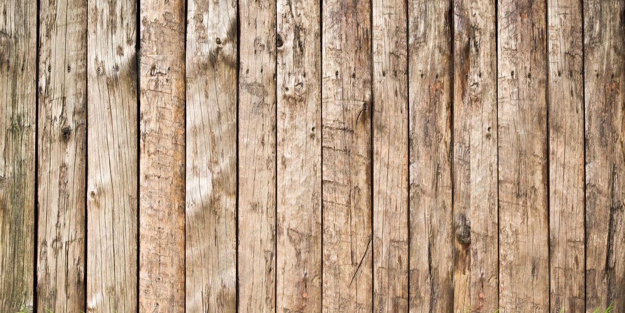 Cat Mommmyy profile banner