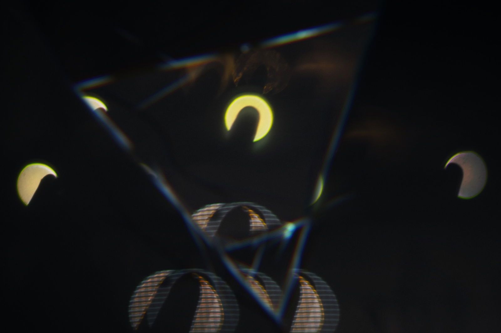 Catwave profile banner