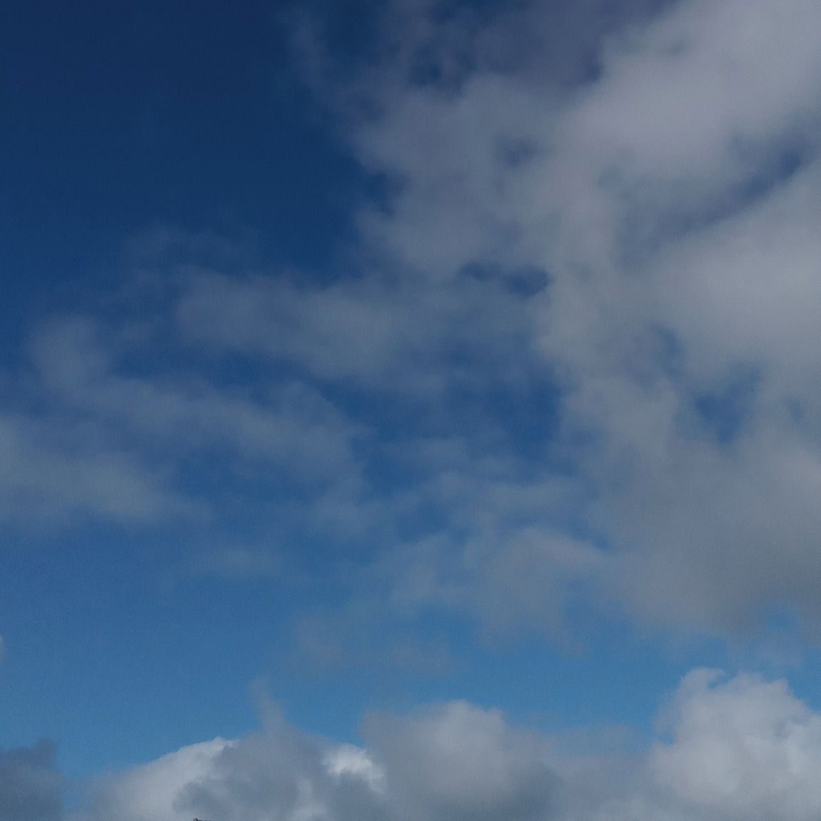 Choco profile banner