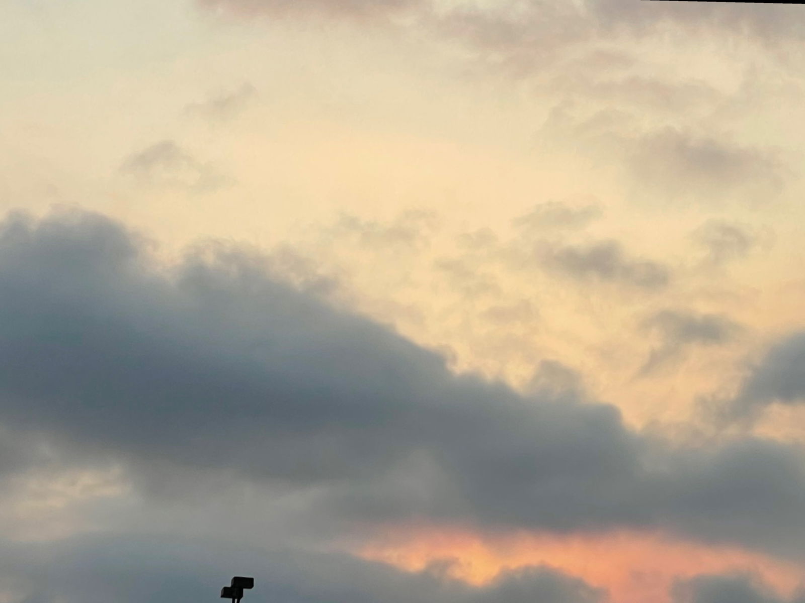CELπ§π½ββοΈ profile banner