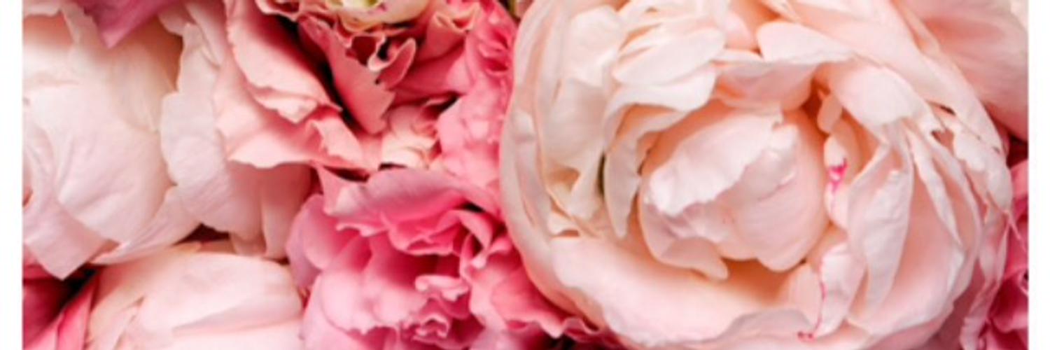 πβ¨C E L E S T Eβ¨π profile banner