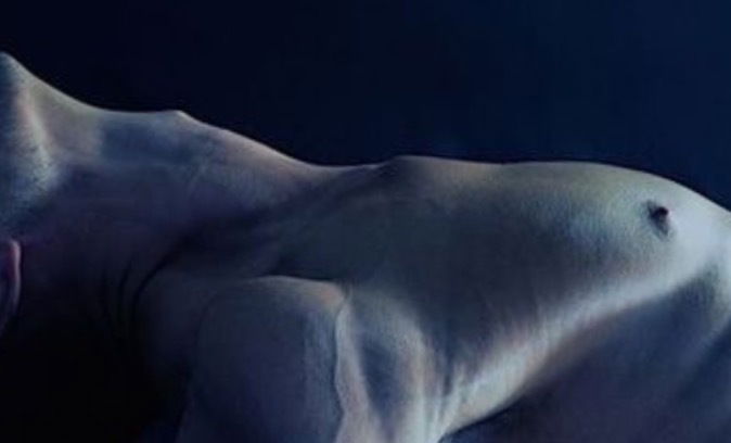Ceylonese Papi profile banner