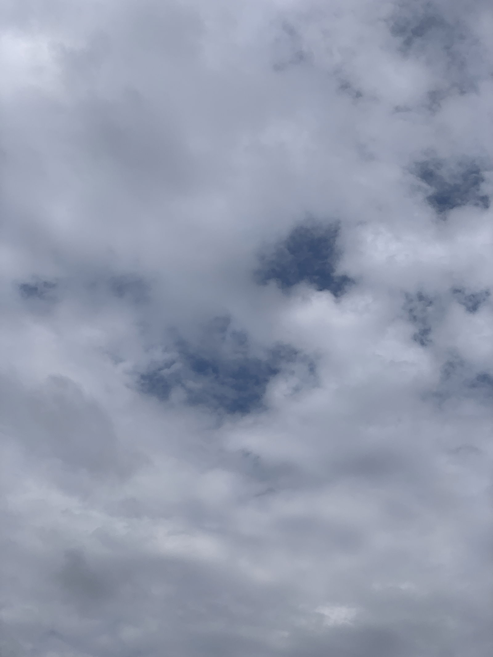 Charlee profile banner