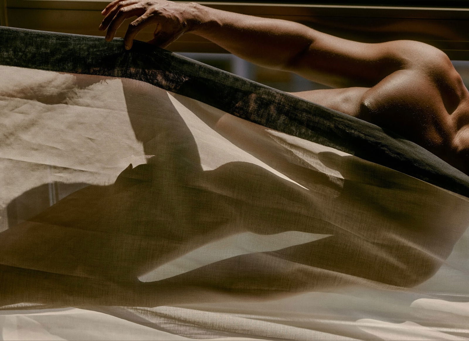 CHARLESTON REX profile banner