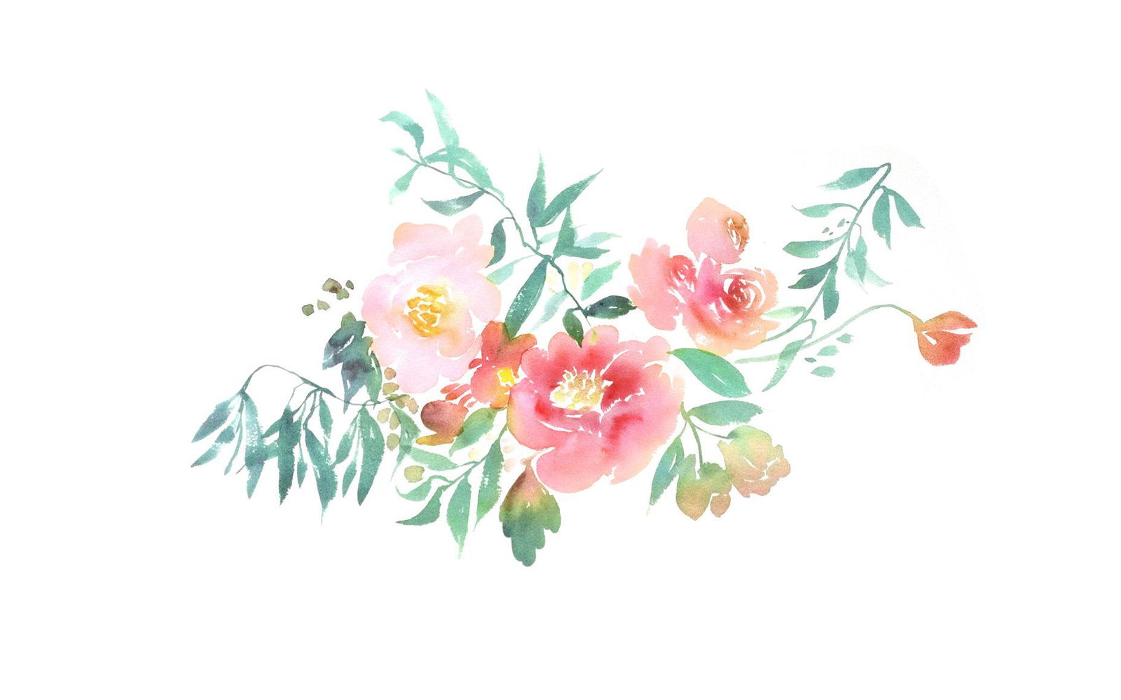 cherubelly profile banner