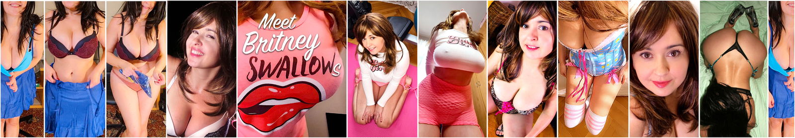 ποΈ Britney Swallows profile banner