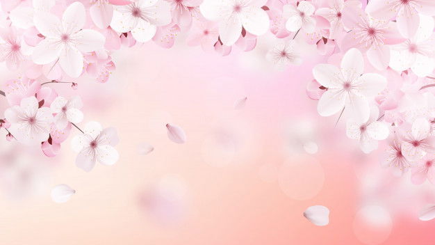Kweh profile banner