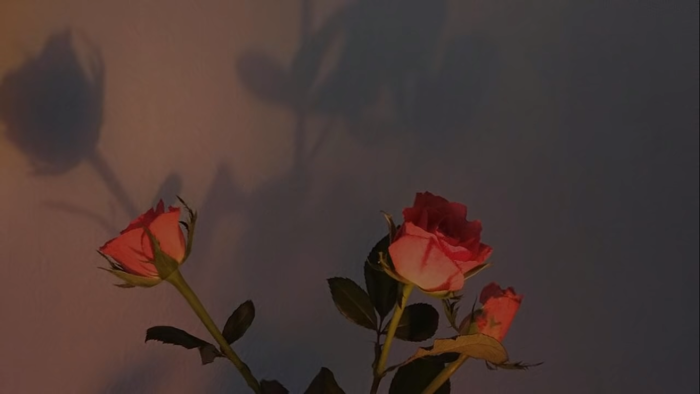 Maya Davis profile banner