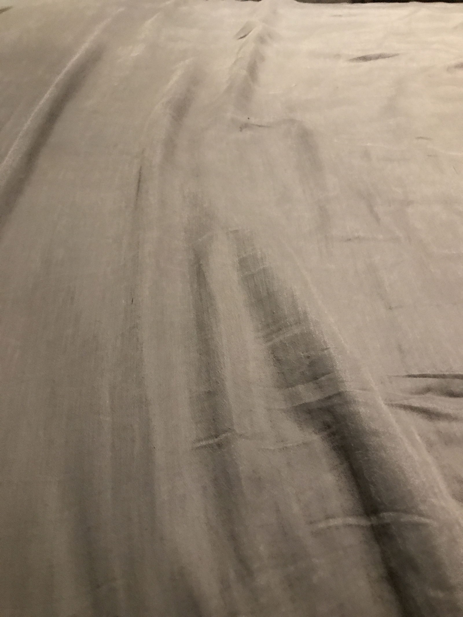 Chubby Guy profile banner