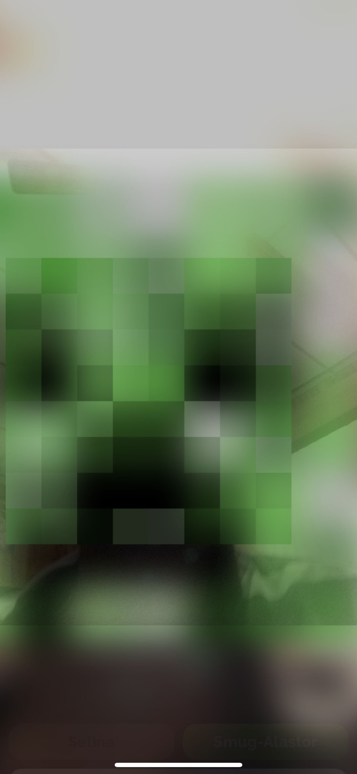 S π profile banner