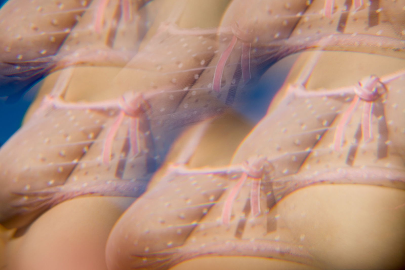 Dafne Fairy profile banner