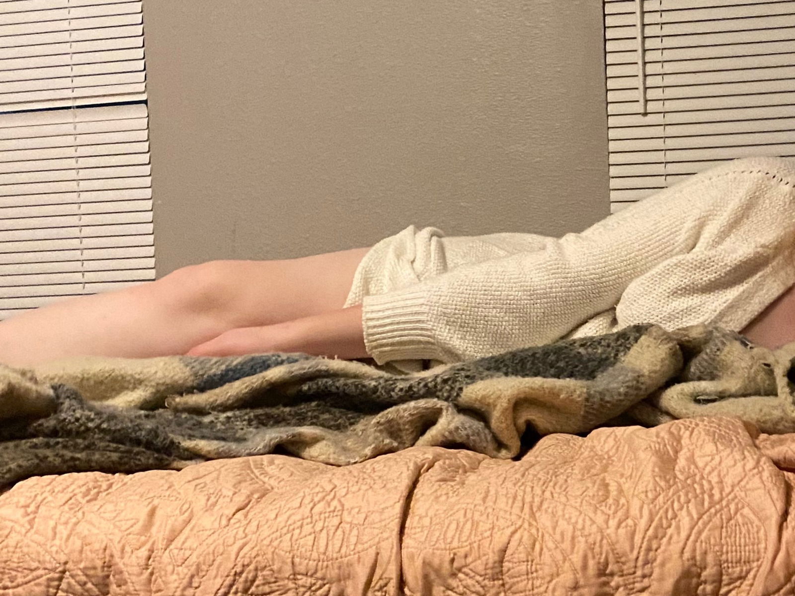 cici-quinn banner