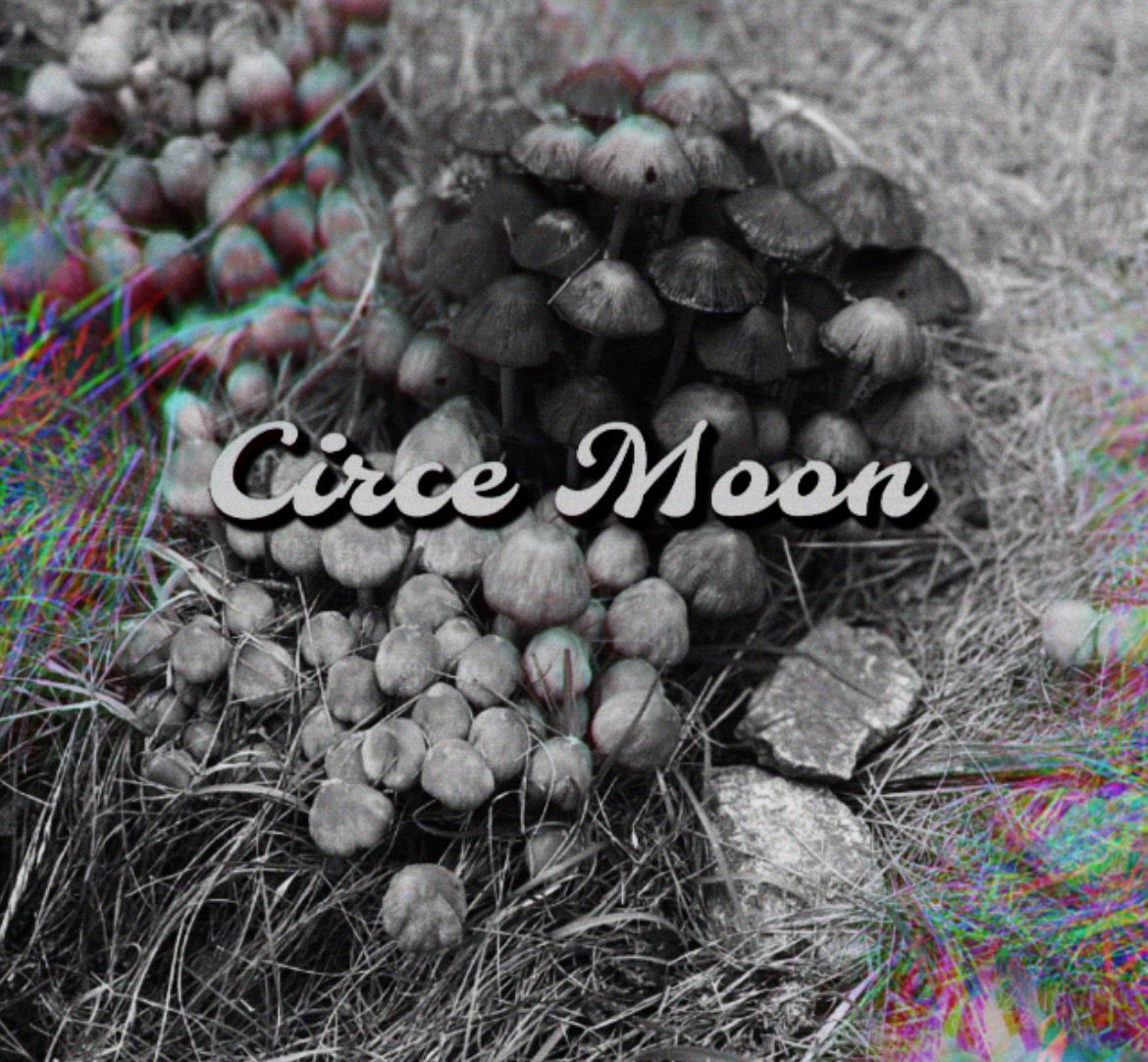 Circe Moon profile banner