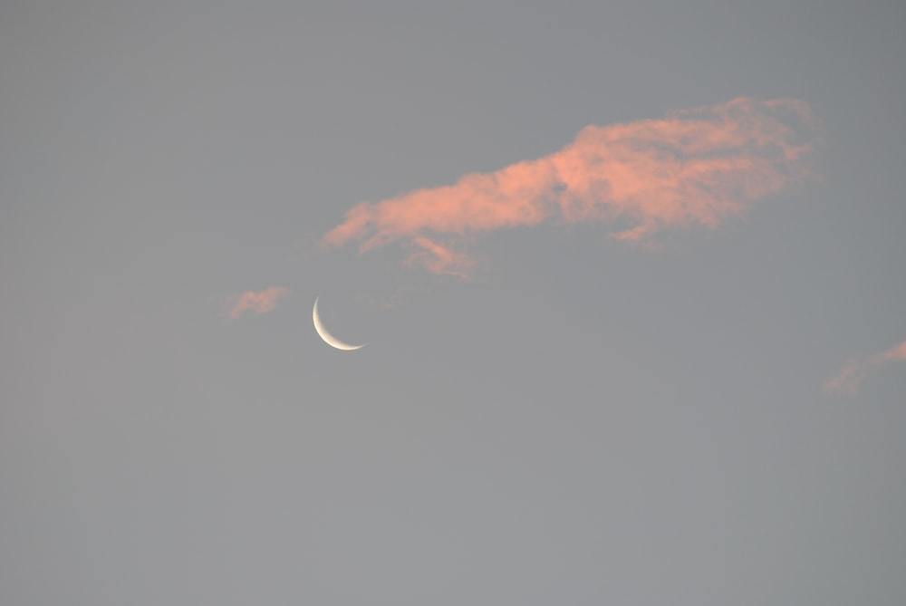 Clary Moon profile banner
