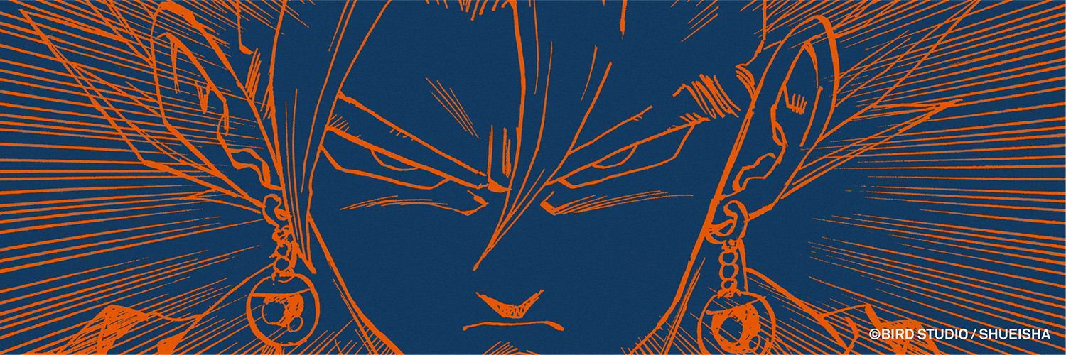 CL profile banner