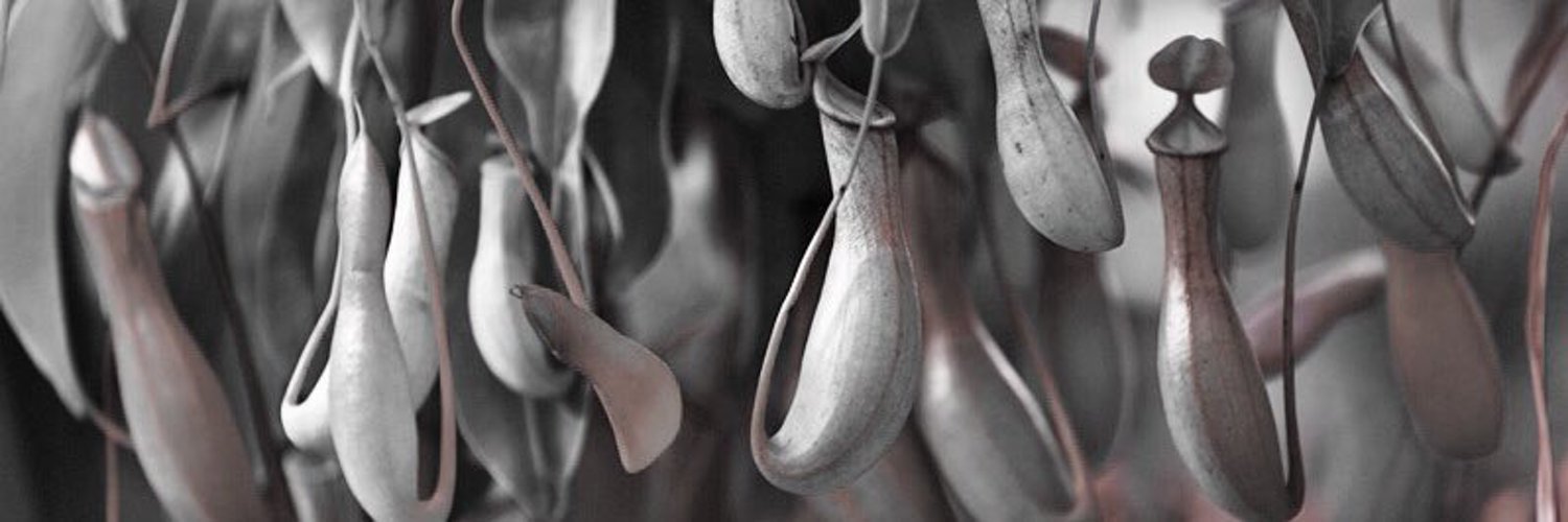 ᴄʟᴜʙ_ᴏᴅғ profile banner