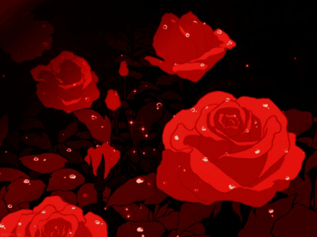 Coach Roze profile banner