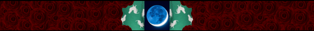 Ara Ara profile banner