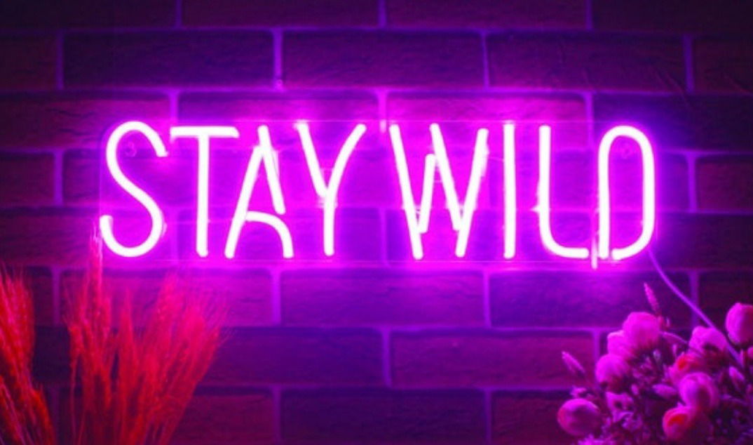Coco profile banner