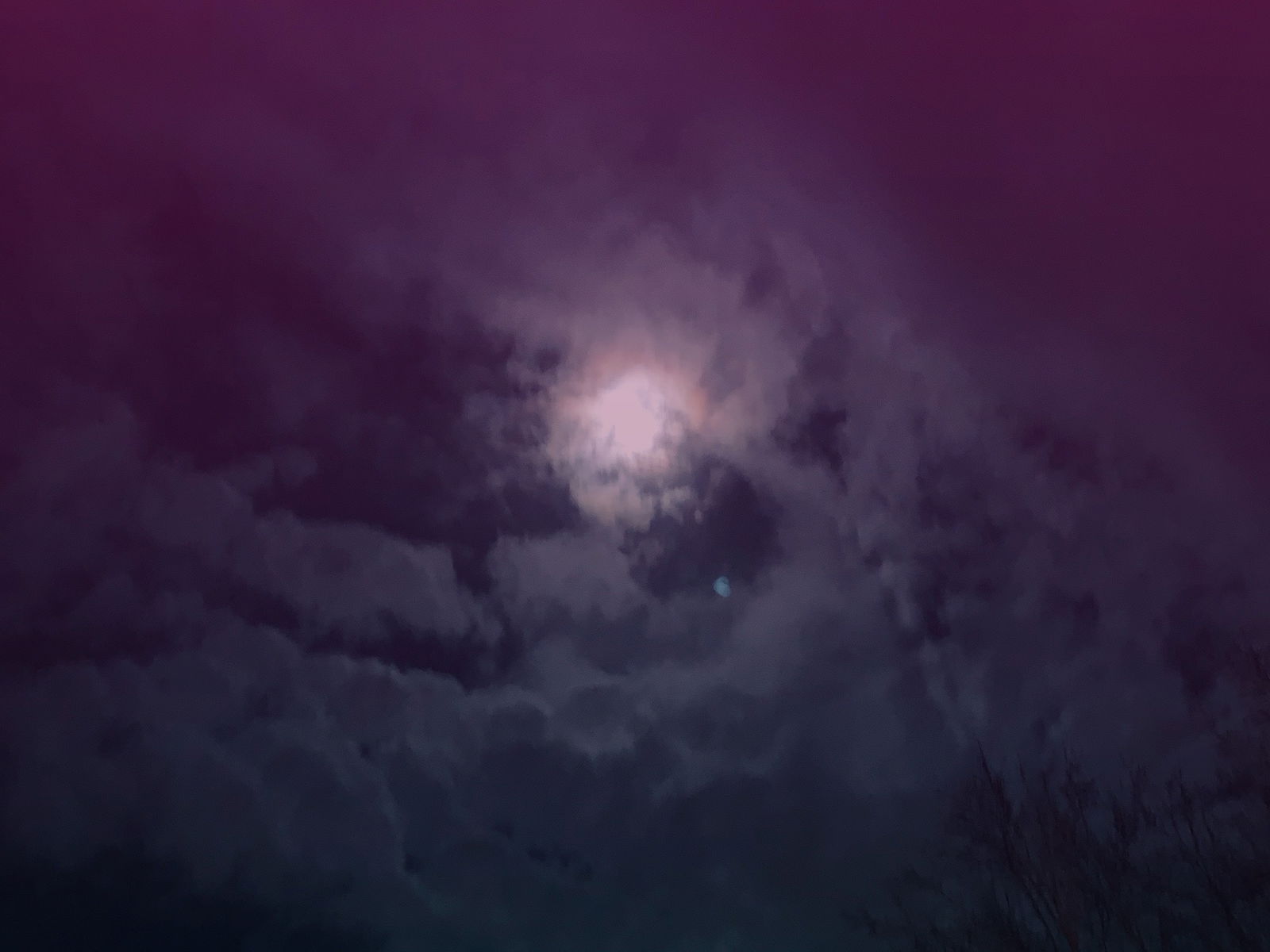CoCo Twink profile banner