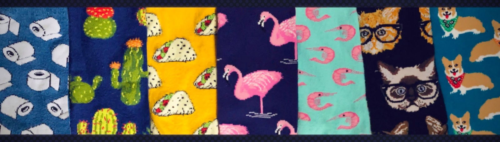 Collie Socks profile banner