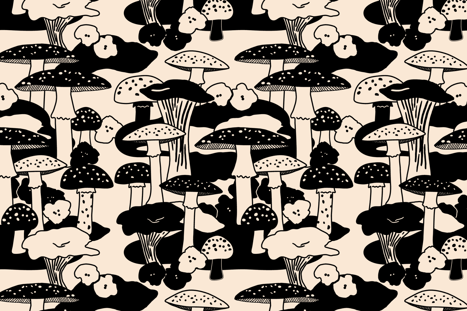 ky ππͺ΄ profile banner