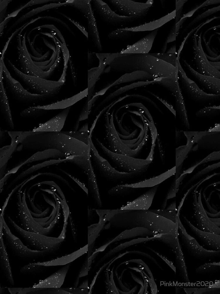 Cori Couture profile banner