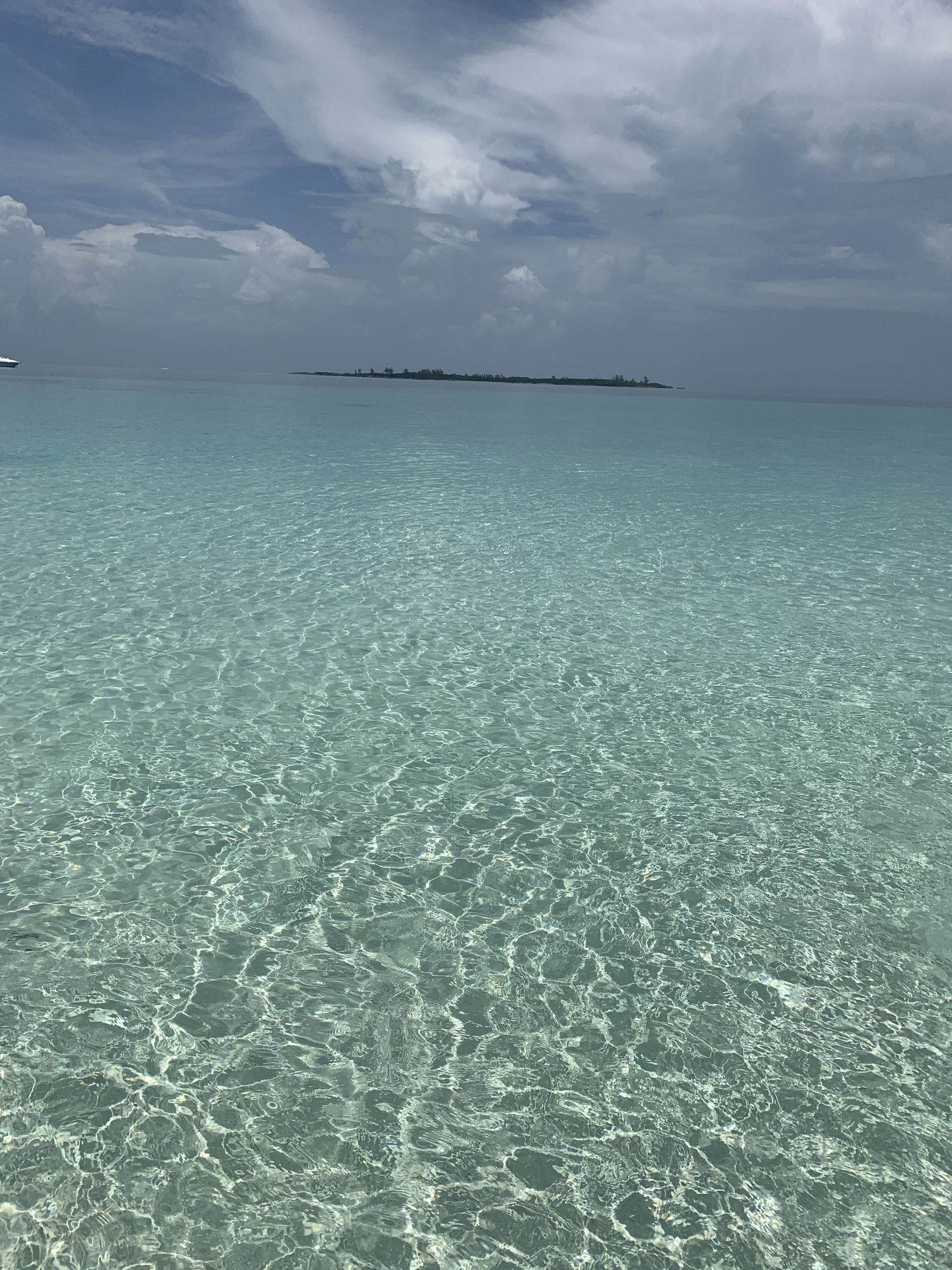 costaricanpapii banner