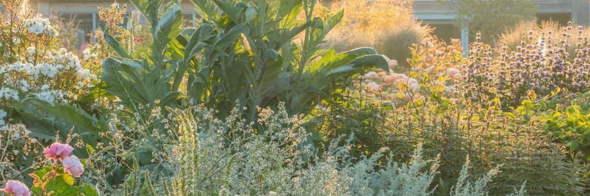 ❀ஐ〰 mig profile banner
