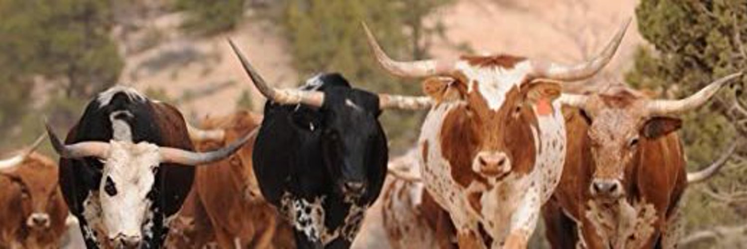 Countryleo profile banner