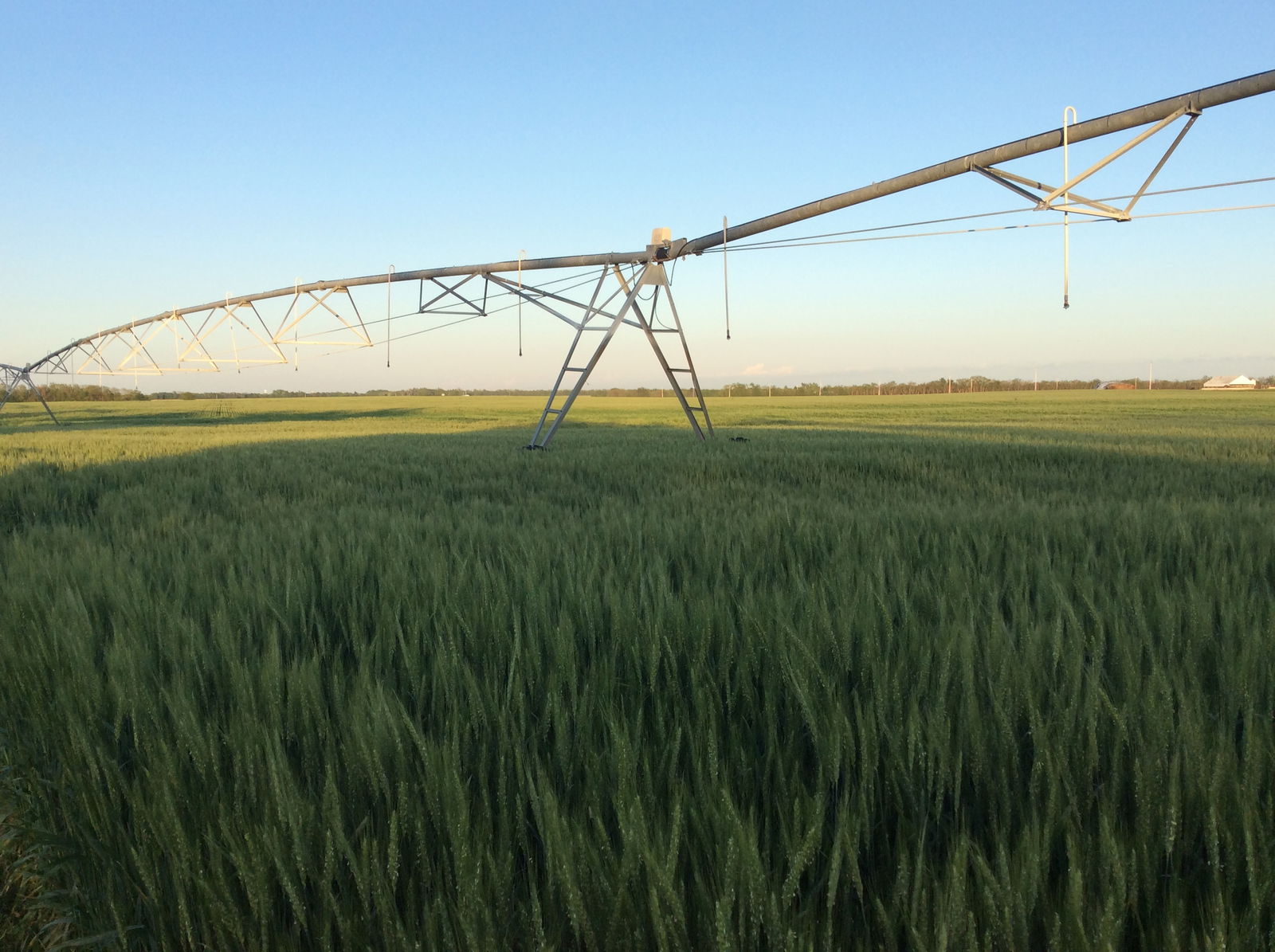 Cowcatcher21 profile banner