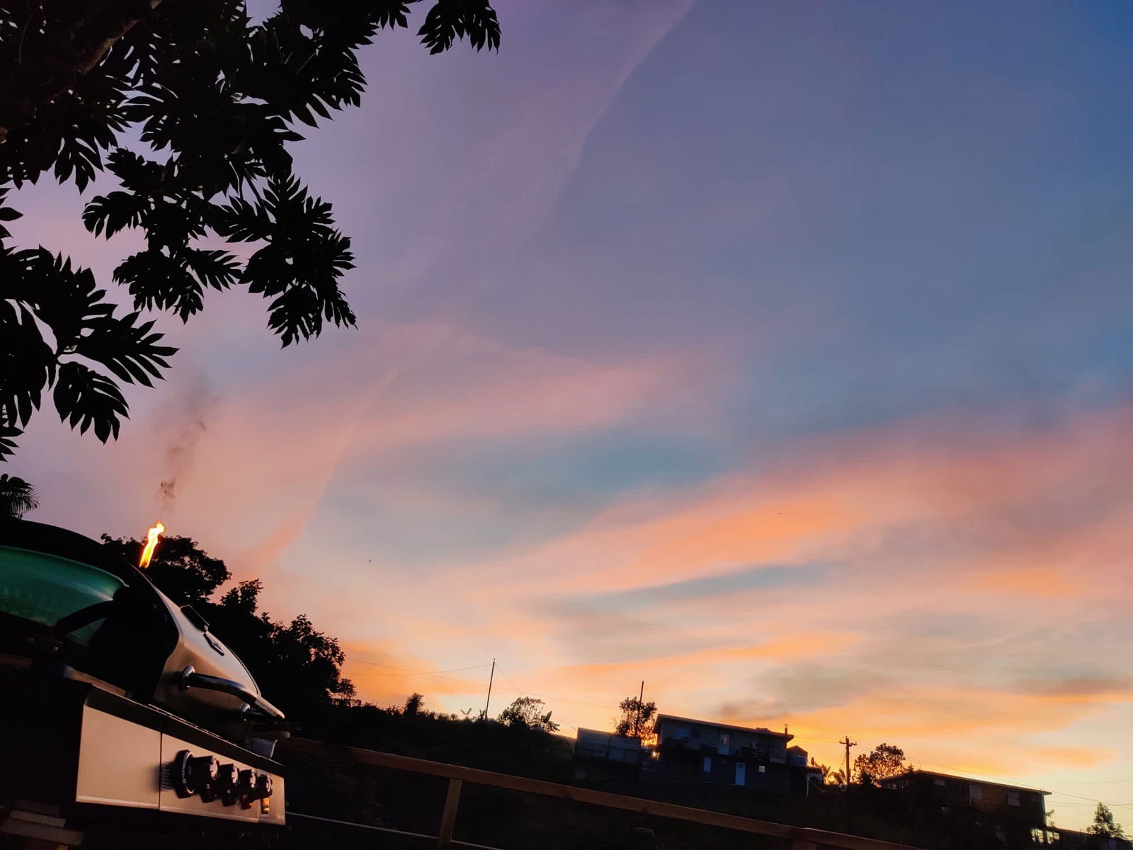 Claudia profile banner