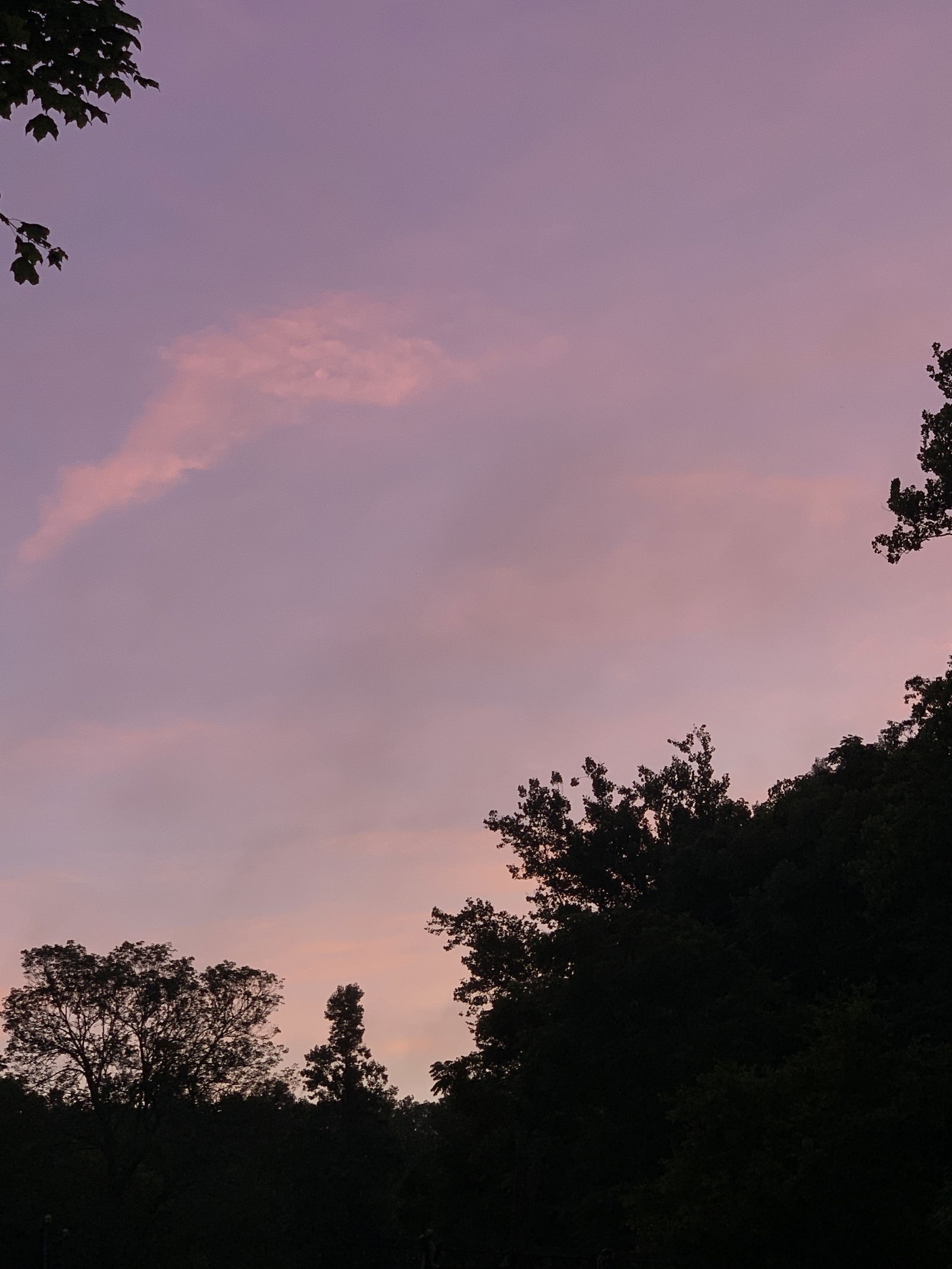 C.S. profile banner