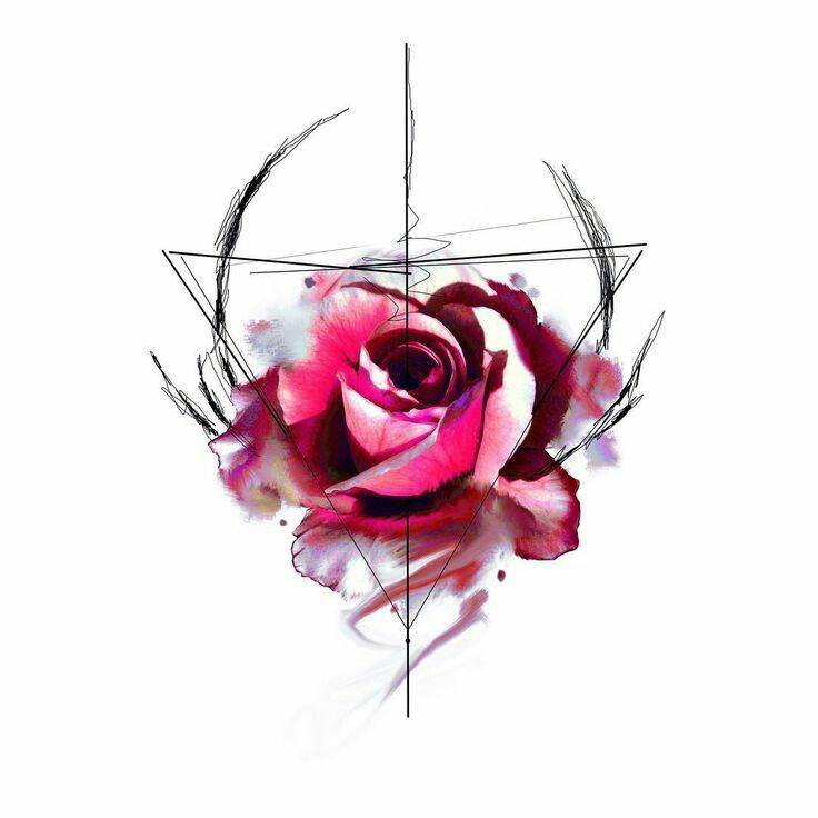 Ayla profile banner