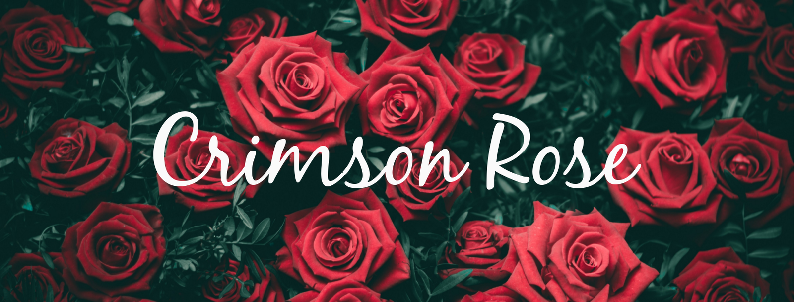 Crimson Rose profile banner