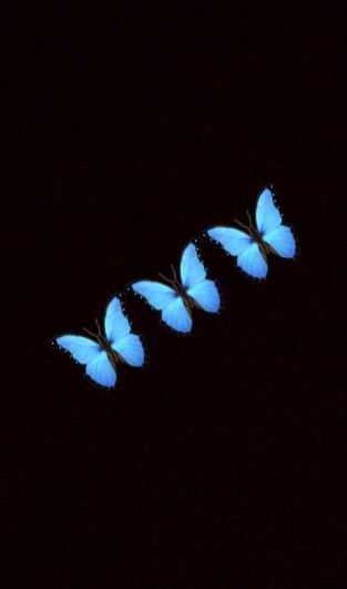 CrissiDee profile banner