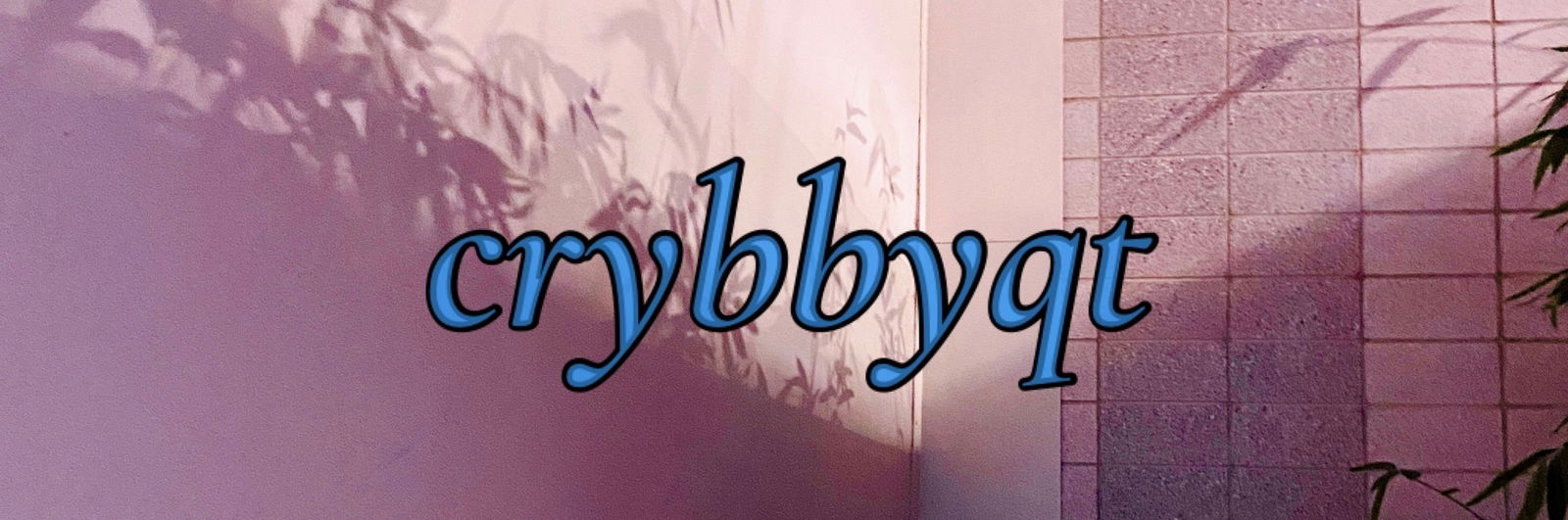 crybby profile banner