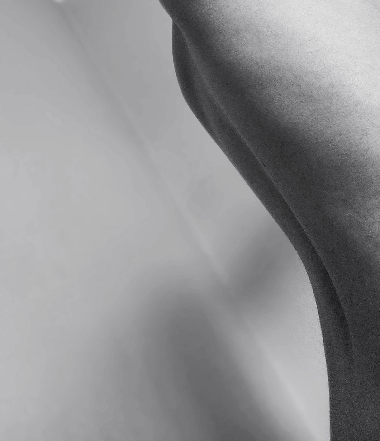 Curiosity profile banner