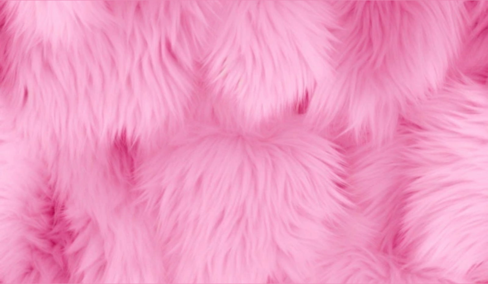 bbcaseface profile banner