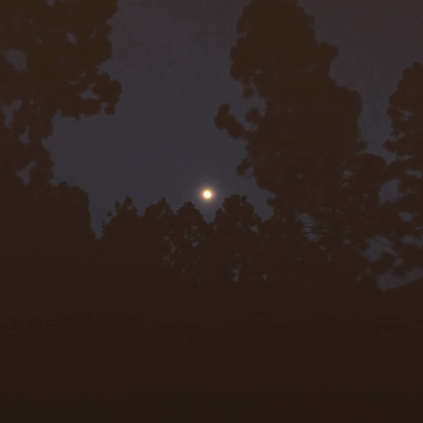 Huge_andy profile banner