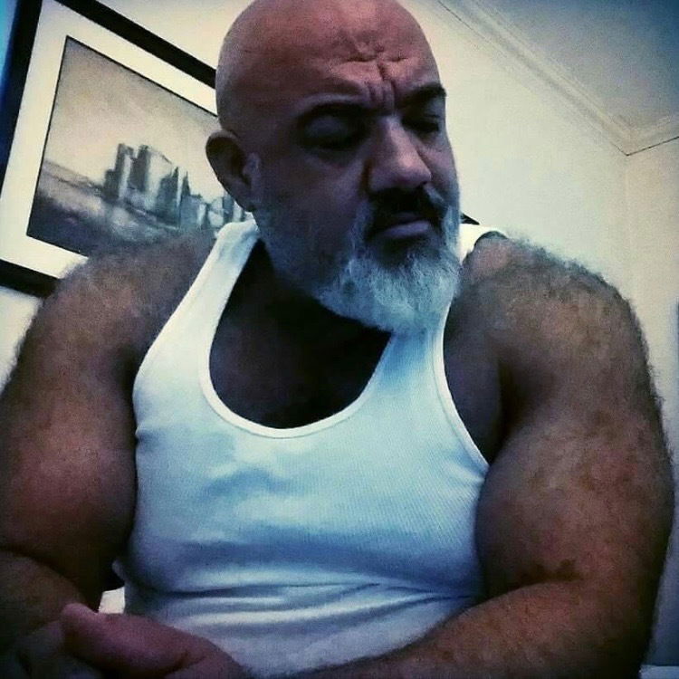 Daddy Bear 69 profile banner