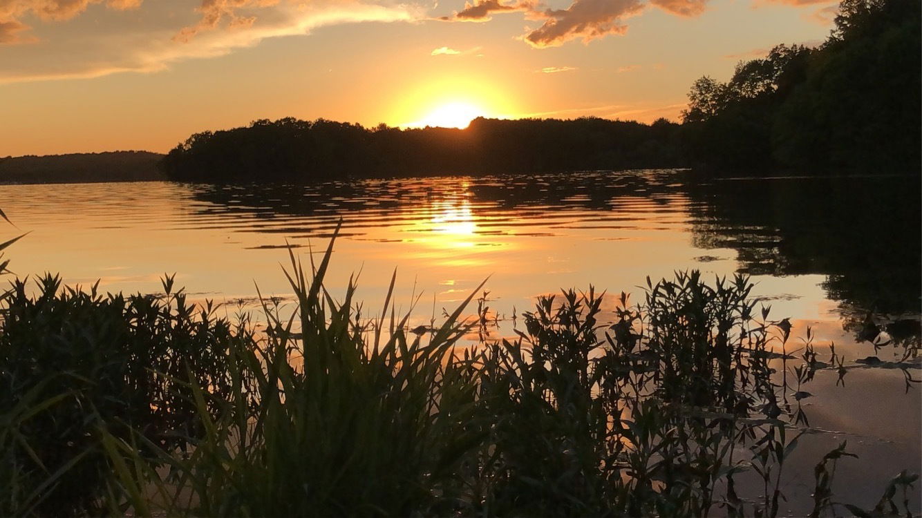 daddyslilprincess3 banner