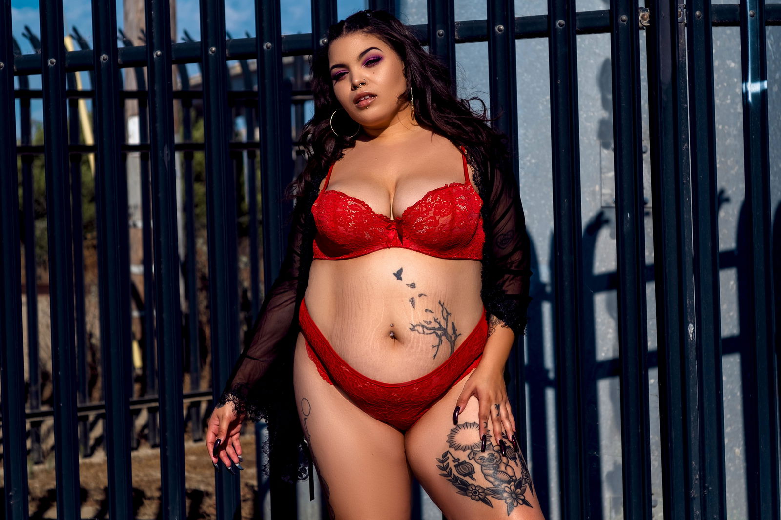 dahliavonknight banner