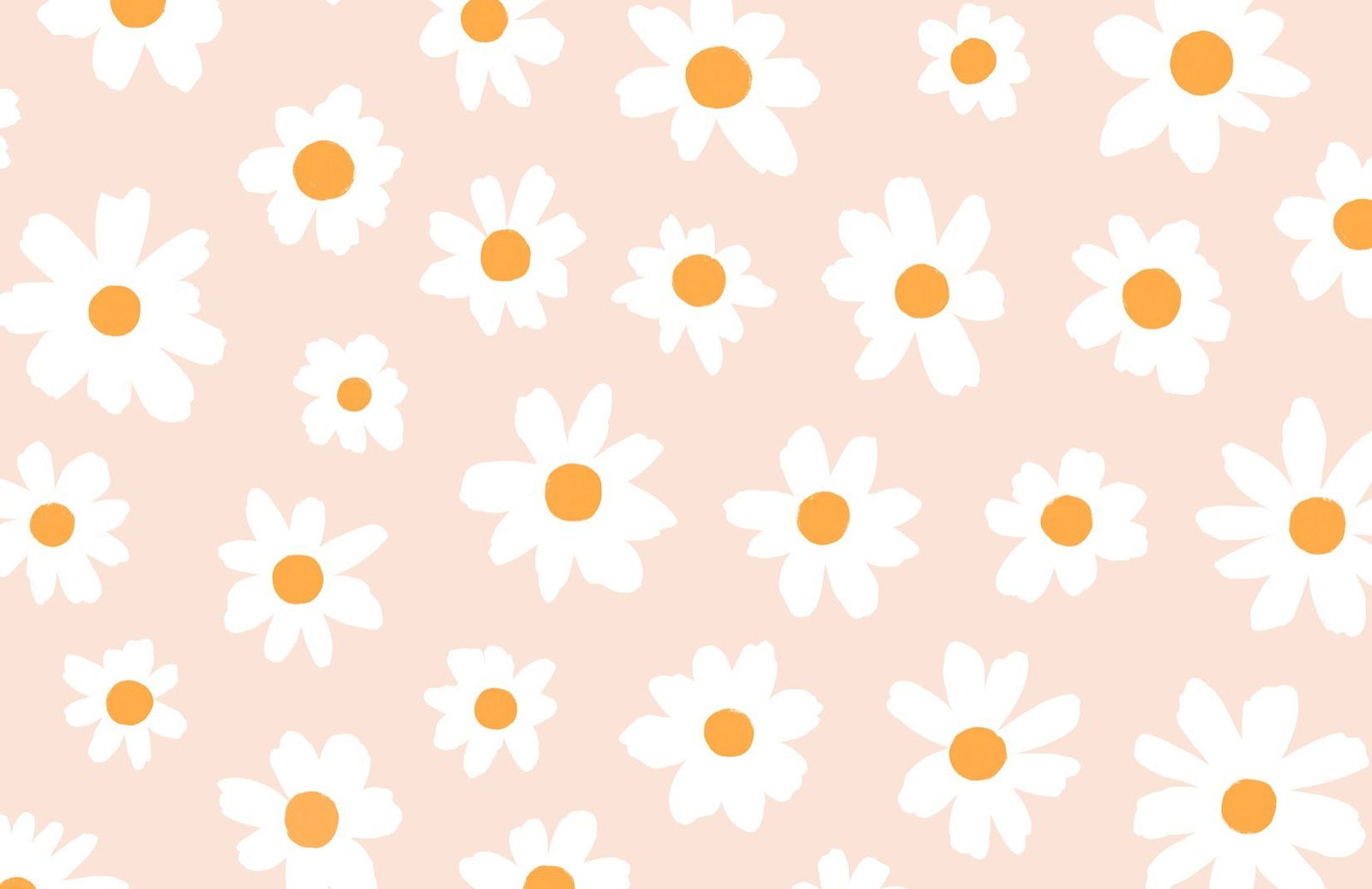 Daisy profile banner