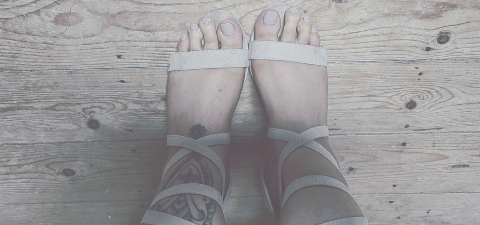 Daisy Feet ❤ profile banner