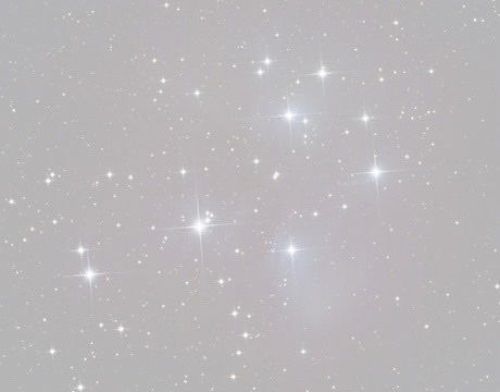 Daisy Lace (free) profile banner